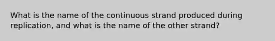 What is the name of the continuous strand produced during replication, and what is the name of the other strand?