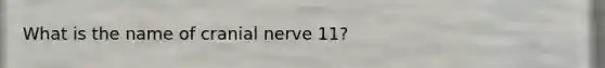 What is the name of cranial nerve 11?