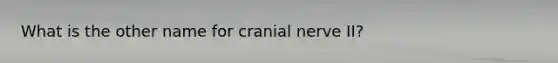 What is the other name for cranial nerve II?