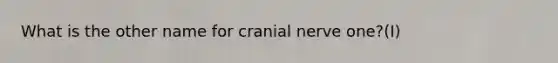 What is the other name for cranial nerve one?(I)