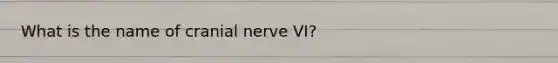 What is the name of cranial nerve VI?