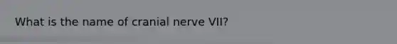 What is the name of cranial nerve VII?