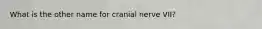 What is the other name for cranial nerve VII?