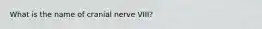 What is the name of cranial nerve VIII?