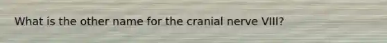 What is the other name for the cranial nerve VIII?