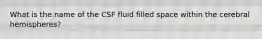 What is the name of the CSF fluid filled space within the cerebral hemispheres?