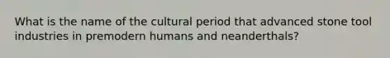 What is the name of the cultural period that advanced stone tool industries in premodern humans and neanderthals?