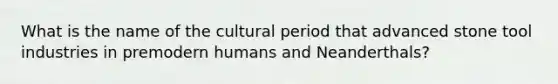 What is the name of the cultural period that advanced stone tool industries in premodern humans and Neanderthals?