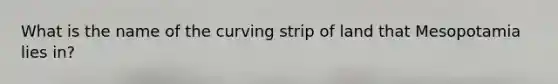 What is the name of the curving strip of land that Mesopotamia lies in?
