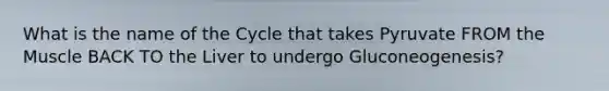 What is the name of the Cycle that takes Pyruvate FROM the Muscle BACK TO the Liver to undergo Gluconeogenesis?