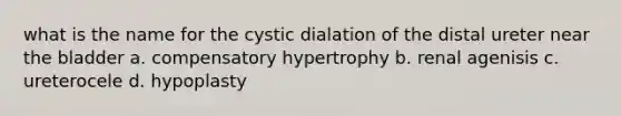 what is the name for the cystic dialation of the distal ureter near the bladder a. compensatory hypertrophy b. renal agenisis c. ureterocele d. hypoplasty