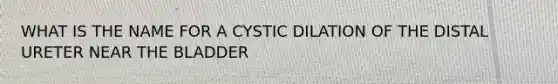 WHAT IS THE NAME FOR A CYSTIC DILATION OF THE DISTAL URETER NEAR THE BLADDER