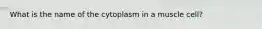 What is the name of the cytoplasm in a muscle cell?