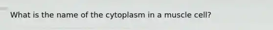 What is the name of the cytoplasm in a muscle cell?