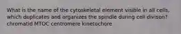 What is the name of the cytoskeletal element visible in all cells, which duplicates and organizes the spindle during cell divison? chromatid MTOC centromere kinetochore