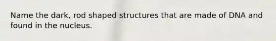 Name the dark, rod shaped structures that are made of DNA and found in the nucleus.