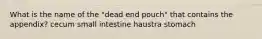 What is the name of the "dead end pouch" that contains the appendix? cecum small intestine haustra stomach