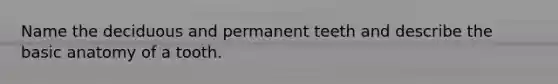 Name the deciduous and permanent teeth and describe the basic anatomy of a tooth.