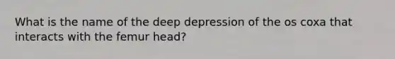 What is the name of the deep depression of the os coxa that interacts with the femur head?