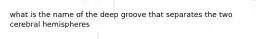 what is the name of the deep groove that separates the two cerebral hemispheres