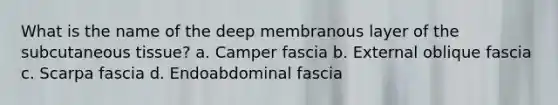 What is the name of the deep membranous layer of the subcutaneous tissue? a. Camper fascia b. External oblique fascia c. Scarpa fascia d. Endoabdominal fascia