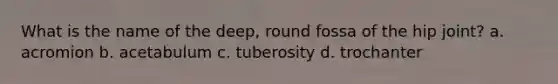 What is the name of the deep, round fossa of the hip joint? a. acromion b. acetabulum c. tuberosity d. trochanter