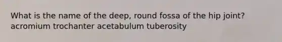 What is the name of the deep, round fossa of the hip joint? acromium trochanter acetabulum tuberosity