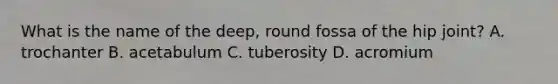 What is the name of the deep, round fossa of the hip joint? A. trochanter B. acetabulum C. tuberosity D. acromium