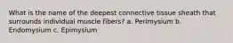 What is the name of the deepest connective tissue sheath that surrounds individual muscle fibers? a. Perimysium b. Endomysium c. Epimysium