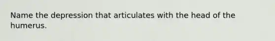 Name the depression that articulates with the head of the humerus.