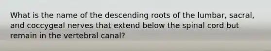 What is the name of the descending roots of the lumbar, sacral, and coccygeal nerves that extend below <a href='https://www.questionai.com/knowledge/kkAfzcJHuZ-the-spinal-cord' class='anchor-knowledge'>the spinal cord</a> but remain in the vertebral canal?