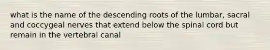 what is the name of the descending roots of the lumbar, sacral and coccygeal nerves that extend below the spinal cord but remain in the vertebral canal