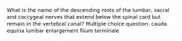 What is the name of the descending roots of the lumbar, sacral and coccygeal nerves that extend below the spinal cord but remain in the vertebral canal? Multiple choice question. cauda equina lumbar enlargement filum terminale