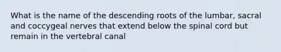 What is the name of the descending roots of the lumbar, sacral and coccygeal nerves that extend below the spinal cord but remain in the vertebral canal