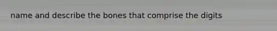 name and describe the bones that comprise the digits