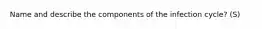 Name and describe the components of the infection cycle? (S)