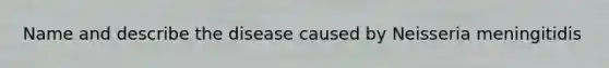 Name and describe the disease caused by Neisseria meningitidis