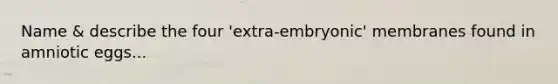 Name & describe the four 'extra-embryonic' membranes found in amniotic eggs...