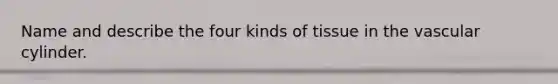 Name and describe the four kinds of tissue in the vascular cylinder.