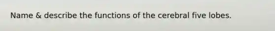 Name & describe the functions of the cerebral five lobes.