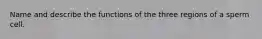 Name and describe the functions of the three regions of a sperm cell.