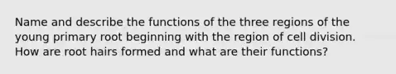 Name and describe the functions of the three regions of the young primary root beginning with the region of cell division. How are root hairs formed and what are their functions?