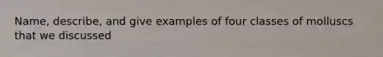 Name, describe, and give examples of four classes of molluscs that we discussed