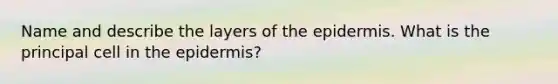 Name and describe the layers of the epidermis. What is the principal cell in the epidermis?