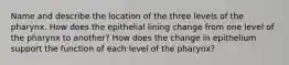 Name and describe the location of the three levels of the pharynx. How does the epithelial lining change from one level of the pharynx to another? How does the change in epithelium support the function of each level of the pharynx?