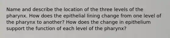 Name and describe the location of the three levels of the pharynx. How does the epithelial lining change from one level of the pharynx to another? How does the change in epithelium support the function of each level of the pharynx?