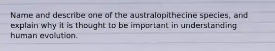 Name and describe one of the australopithecine species, and explain why it is thought to be important in understanding human evolution.