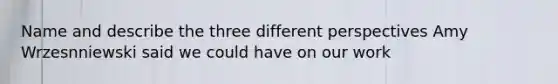 Name and describe the three different perspectives Amy Wrzesnniewski said we could have on our work