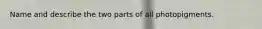 Name and describe the two parts of all photopigments.