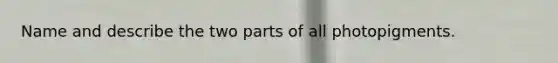 Name and describe the two parts of all photopigments.